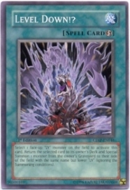 Level Down!? - 1st. Edition - CDIP-EN046
