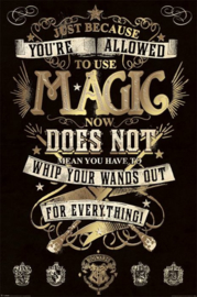 Harry Potter - Magic (037)