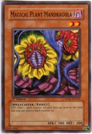 Magical Plant Mandragola - 1st Edition - SDSC-EN0012