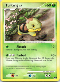 Turtwig - POP9 - 17/17