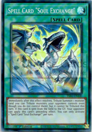 Spell Card "Soul Exchange" - INFO-EN100