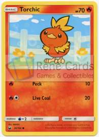 Torchic - S&M CeSt  26/168