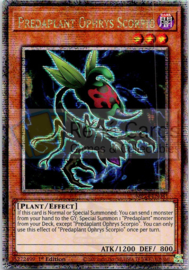 Predaplant Ophrys Scorpio - 1st. Edition - MP24-EN041