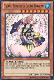 Talaya, Princess of Cherry Blossoms - 1st Edition - JOTL-EN036