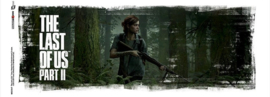 The Last of Us II - Ellie Art (038)