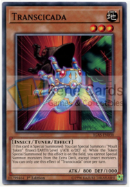Transcicada - Unlimited - IGAS-EN030