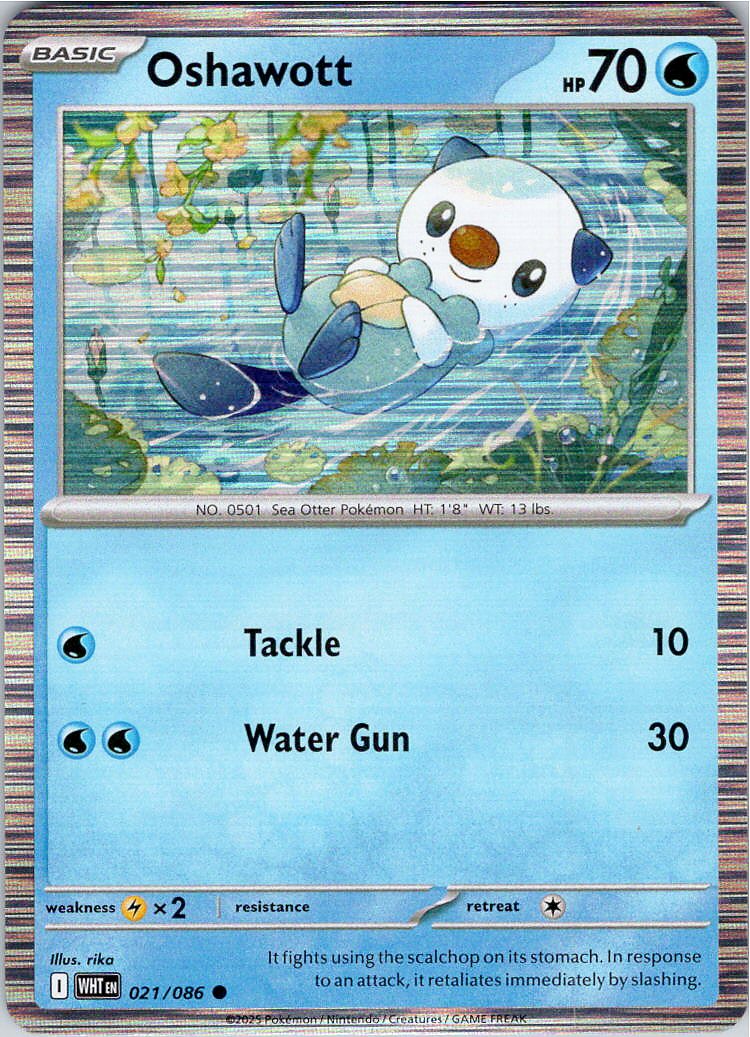 Oshawott - WHT - 021/086 - Holo Foil