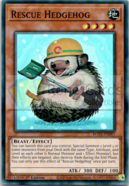 Rescue Hedgehog - 1st Edition - ROTA-EN097