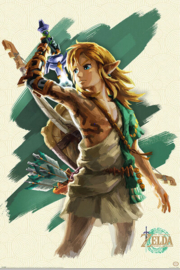 Zelda - Tears of Kingdom - Link (161)