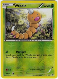 Weedle - PrimCla - 1/160 - Reverse