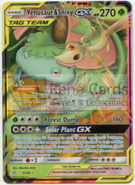 Venusaur & Snivy GX  - S&M CosEc - 001/236