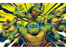 Teenage Mutant Ninja Turtles - (140)