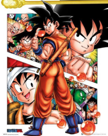 Dragon Ball Z - Collage (M59)