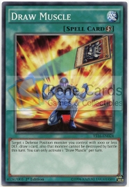 Draw Muscle - 1st Edition - YS16-EN024