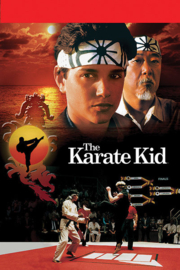 The Karate Kid (151)