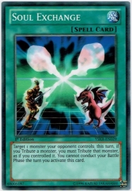 Soul Exchange - Unlimited - YSKR-EN029 (18)