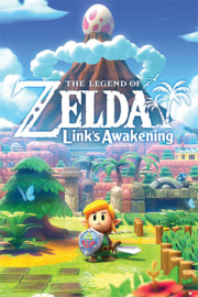 The Legend of Zelda - Link's Awakening (081)