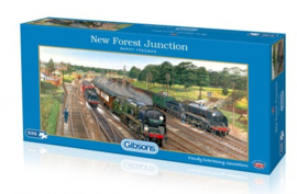 New Forest Junction (636)