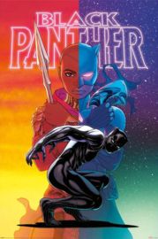 Black Panther - Wakanda Forever  (126)