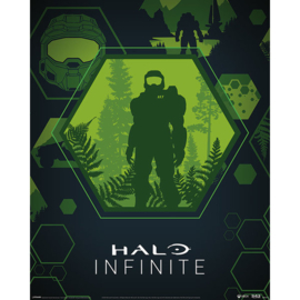 Halo - Infinite Master Chief Hex (M40)