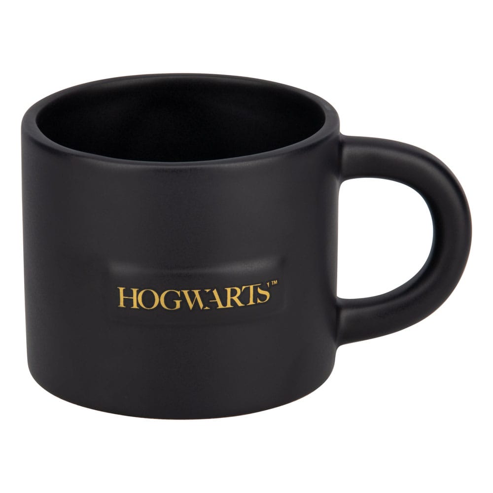 Harry Potter - Hogwarts (178)