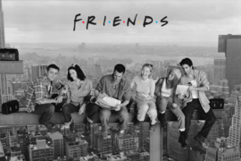 Friends - Skyscraper (153)