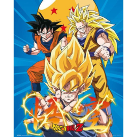 Dragon Ball Z 3 - Gokus (M46)