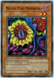 Magical Plant Mandragola - DR1-EN127