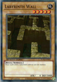 Labyrinth Wall - 1st Edition - SGX2-END02