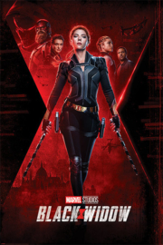 Marvel - Black Widow - Unfinished (144)