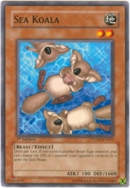 Sea Koala - Unlimited - PTDN-EN037