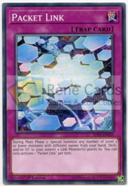 Packet Link - 1st Edition - SDPL-EN031 (42)