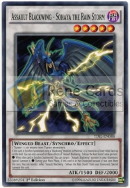 Assault Blackwing - Sohaya the Rain Storm - 1st. Edition - TDIL-EN048