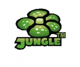 Jungle - 1st. Edition - English