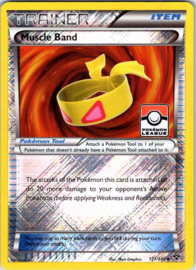 Muscle Band - X&Y - 121/146 CH