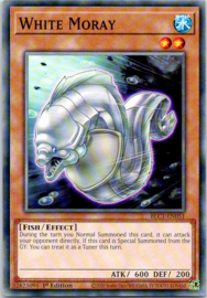White Moray - 1st Edition - BLC1-EN051