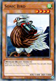 Sonic Bird - Unlimited - SRL-EN093 - 25th Anniversary