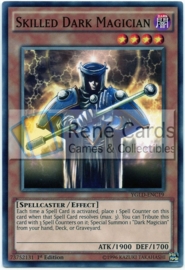 Skilled Dark Magician - 1st Edition - YGLD-ENC19