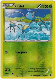 Surskit - PrimCla - 13/160 - Reverse