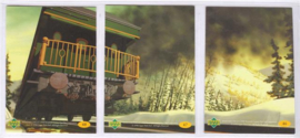 Caboose Green Center Nr. 47