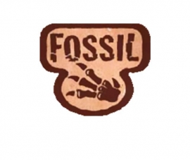 Fossil - 1st. Edition - English