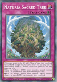 Naturia Sacred Tree - 1st. edition - SDBT-EN037