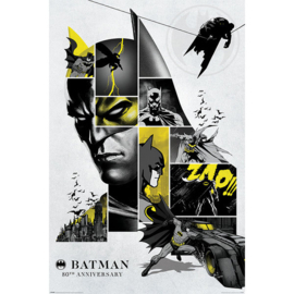 Batman 80th Anniversary (106)