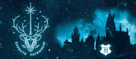 Harry Potter - Expecto Patronum (146)