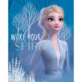 Frozen 2 - Wake your Spirit Elsa (M14)