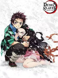 Demon Slayer - Tanjiro & Nezuko (062)