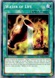 Water of Life - 1st Edition - BLC1-EN077