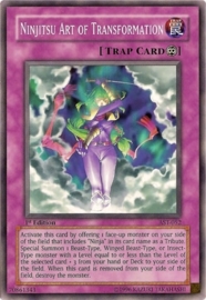 Ninjitsu Art of Transformation - 1st. Edition - AST-052