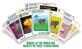Streaking Kittens - Second Expansion of Exploding Kittens - English Edition