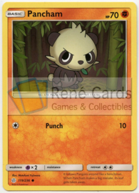 Pancham - S&M CosEc - 119/236